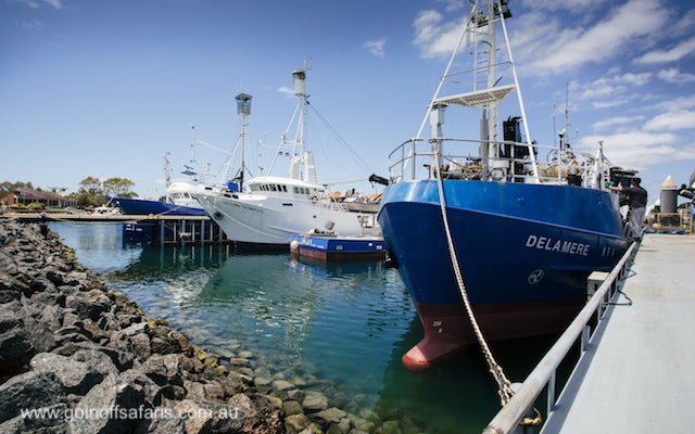 Port Lincoln & Coffin Bay Highlights - 2 Days & 1 Night