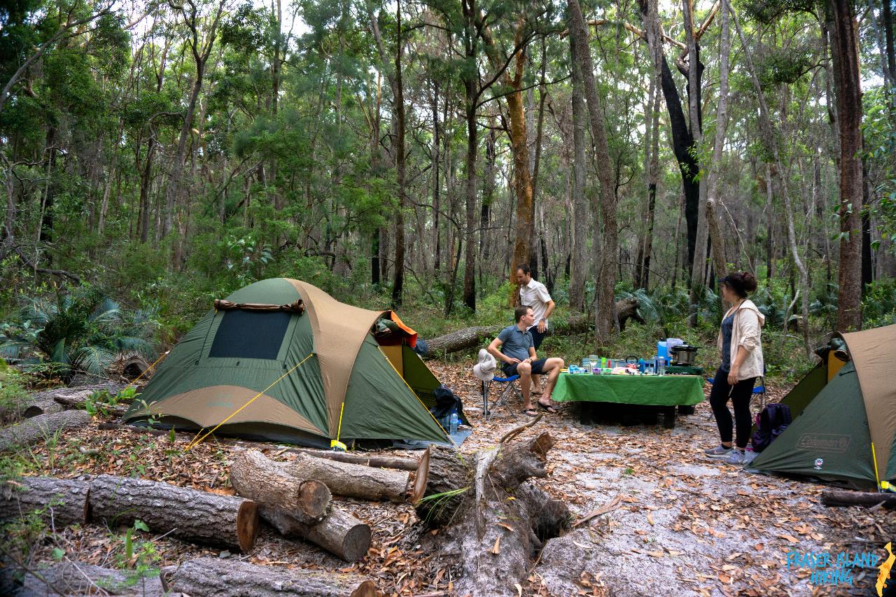 Pack-Free Camping: Rainforest Eco Hike - 3 Days