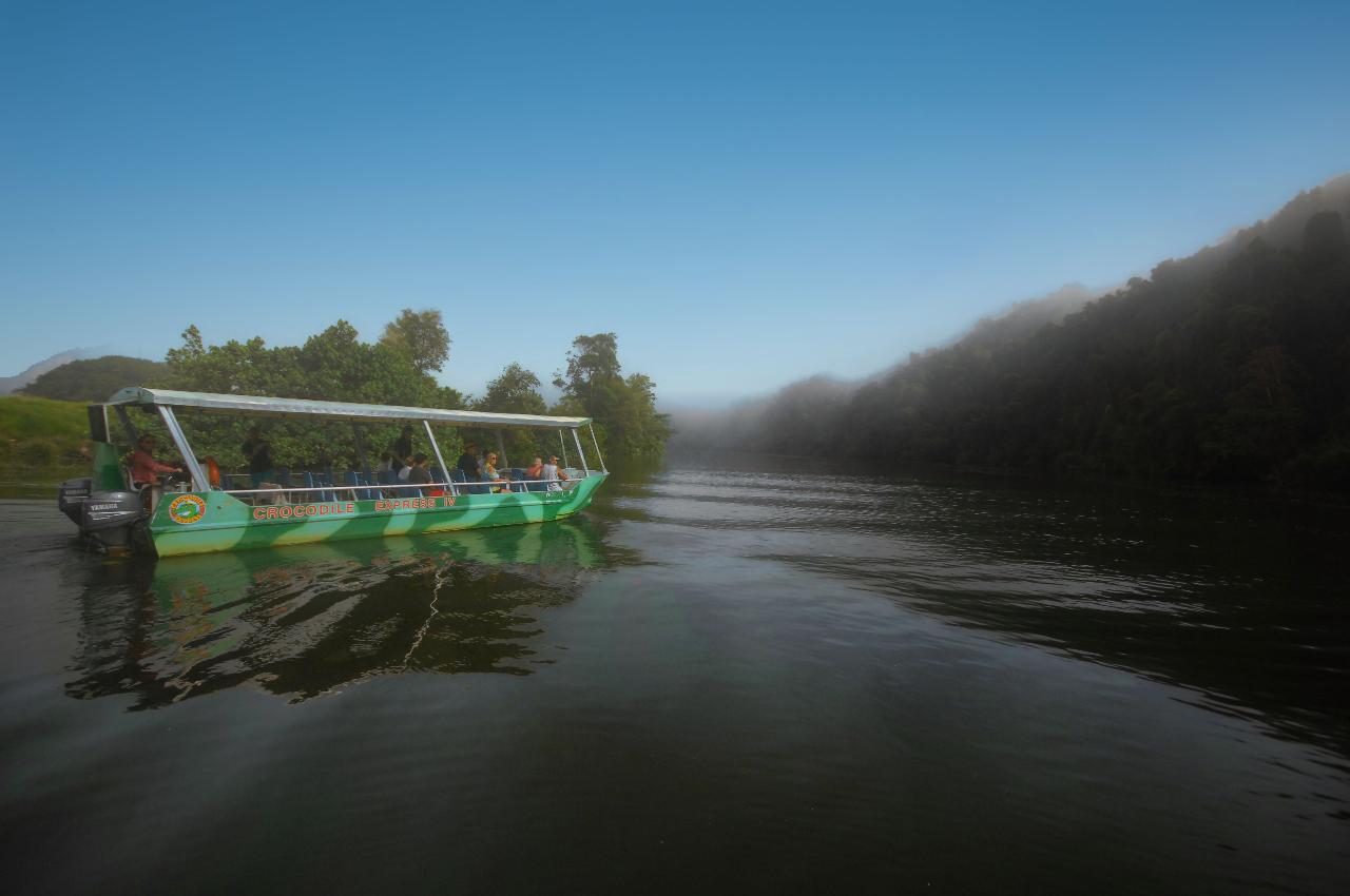 Crocodile Express Daintree Rainforest & Wildlife Cruise From Daintree Ferry Gateway