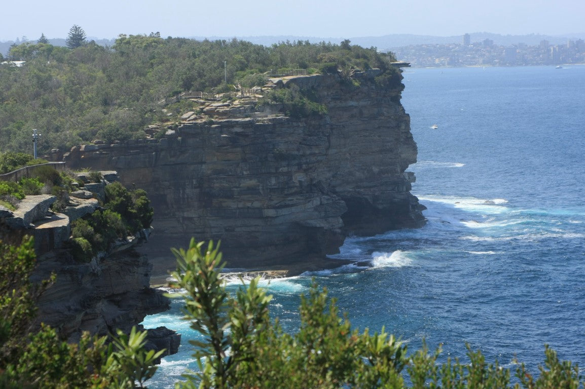 Panoramic Sydney Sights - Afternoon Tour