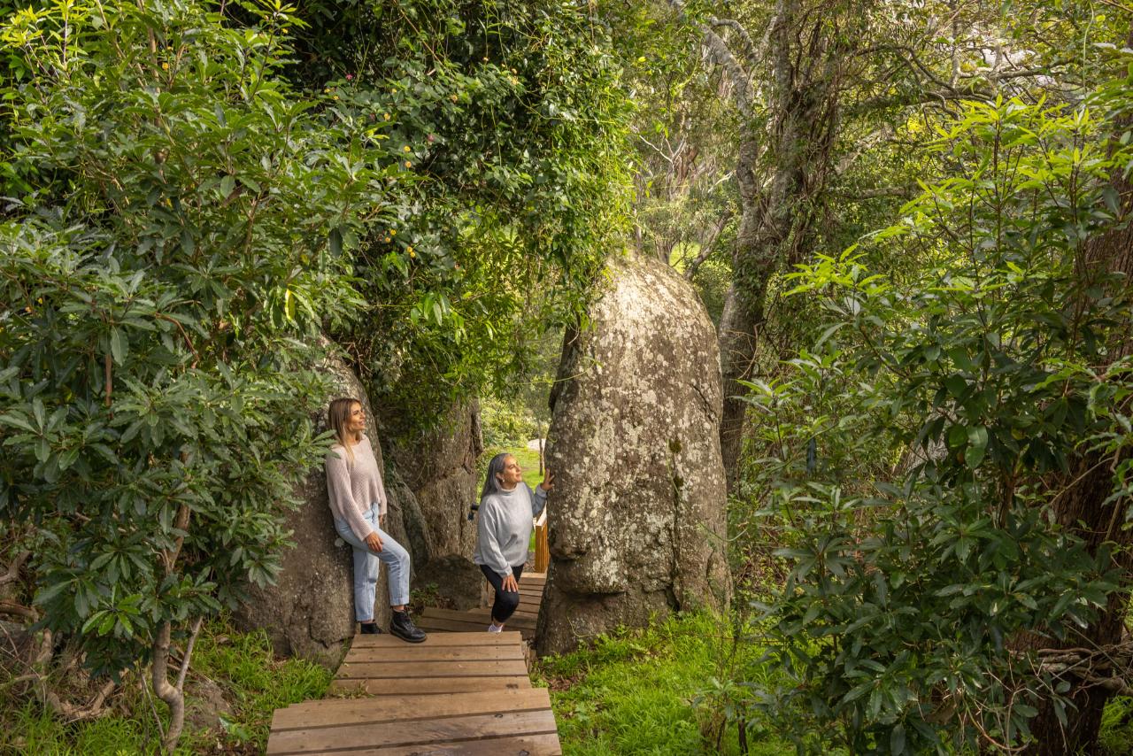 Self Guided E-Bike Tour - Pedal To Produce Series - Narooma To Dromedary Hotel