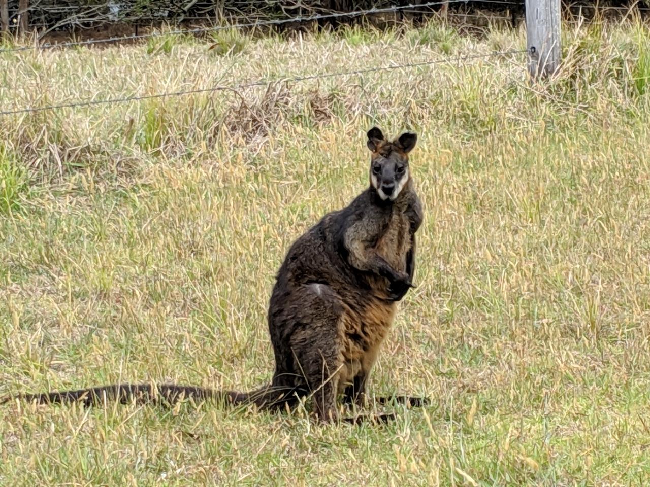 Self Guided E-Bike Tour - Pedal To Produce Series - Wagonga Wilderness Loop