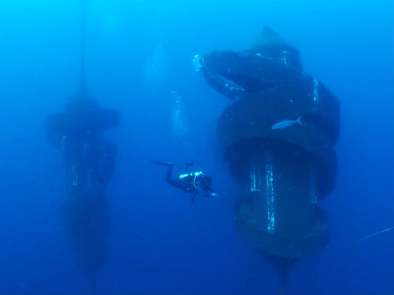 Wonders Of The Gold Coast Double-Dive (Wonder Reef)