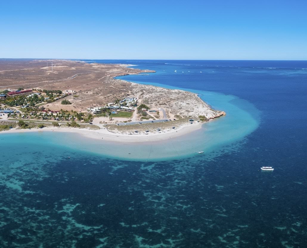 Humpback Whale Overland Tour