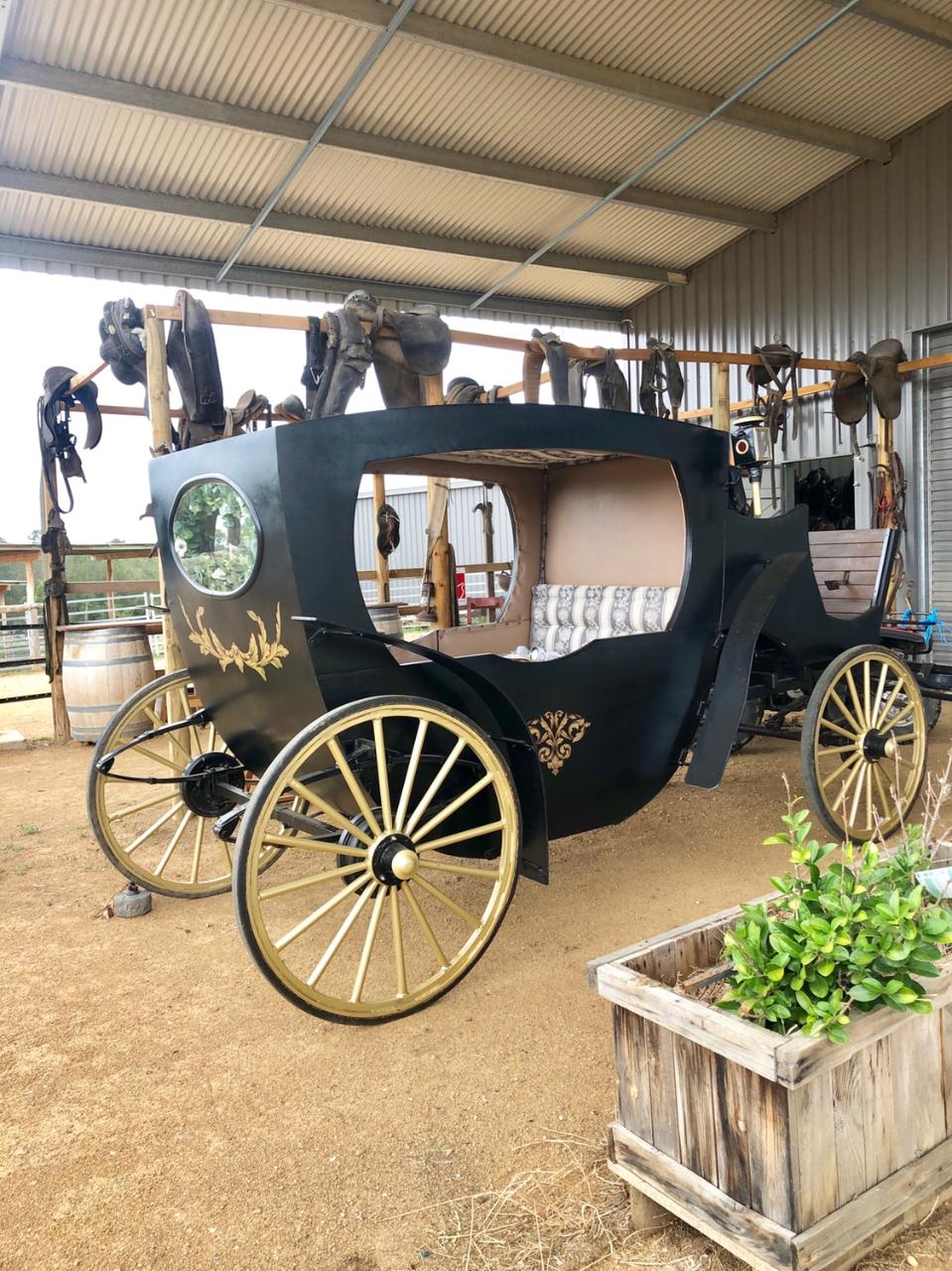 Romantic Couple's Private Horse And Carriage Wine Tour