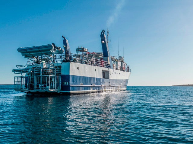 Great White Shark Expedition - 5 Nights