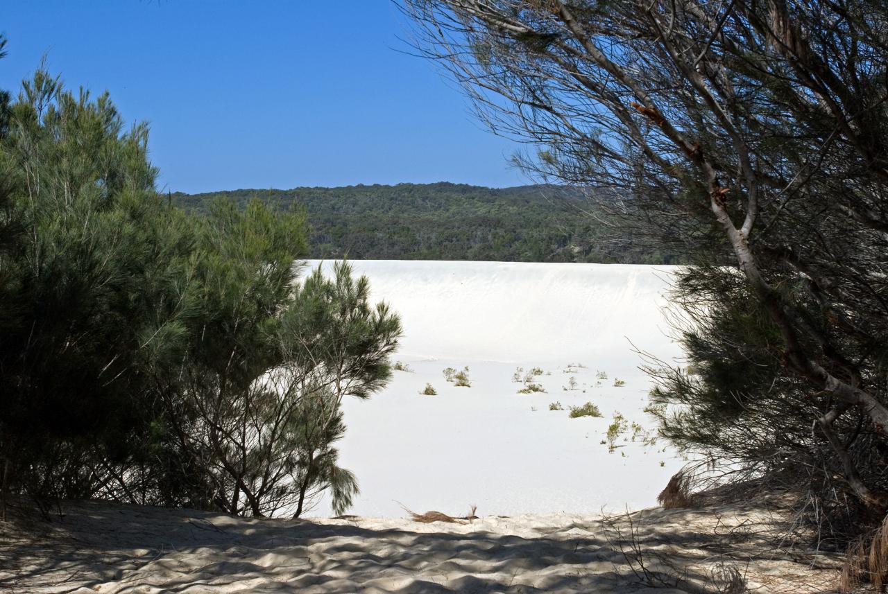 1 Day Moreton Island Snorkel Kayak & Sandboard Adventure Tour