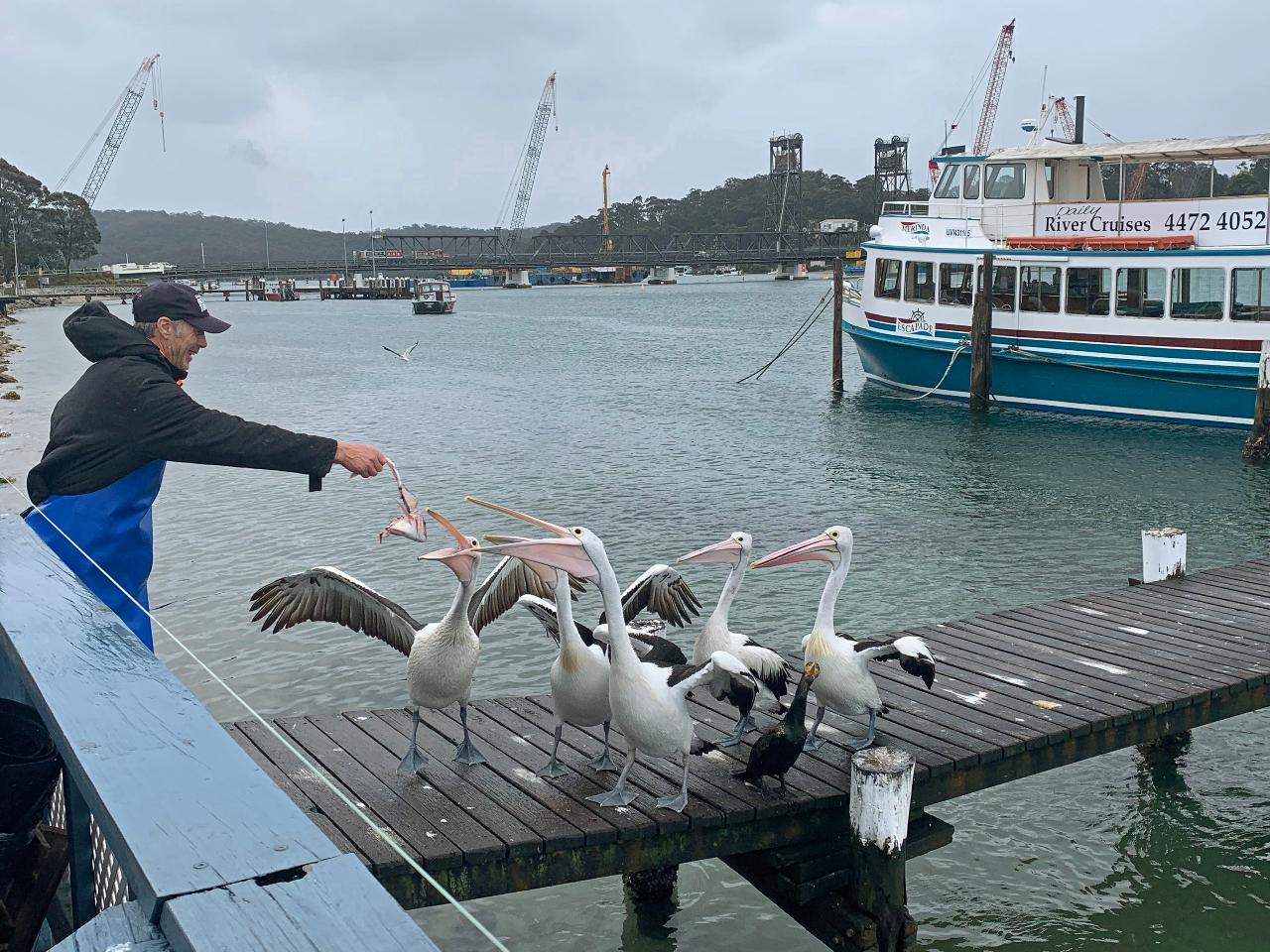 Canberra To Coast Day Tour With Oyster Tasting Kayak Experiences