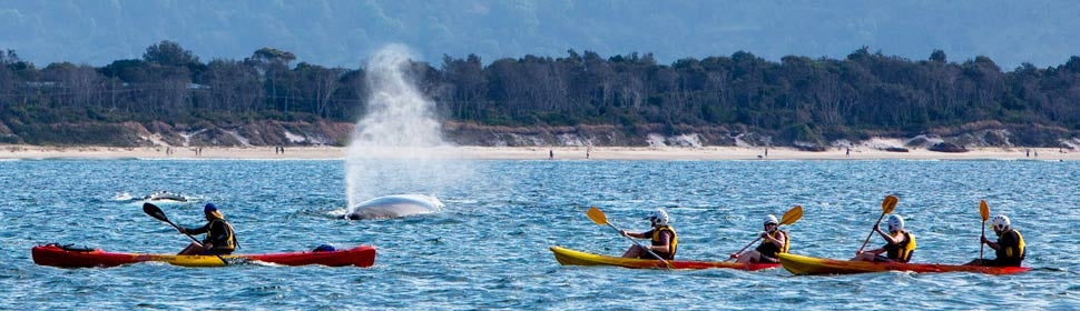 The Byron Bay Sea Kayak Tour