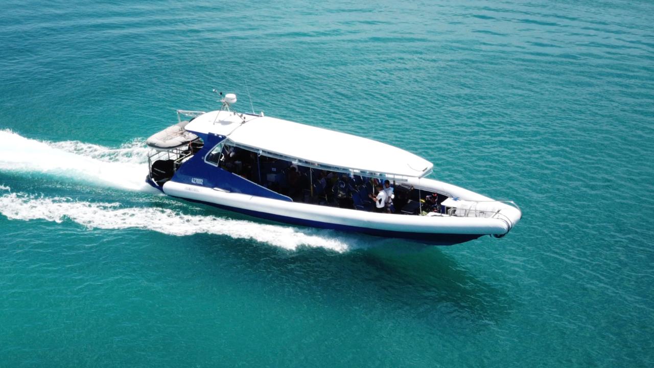 Discover Scuba Diving - One Uncertified Intro Dive And Snorkelling