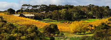 Mclaren Vale Wine Tour Gold Package Full Day