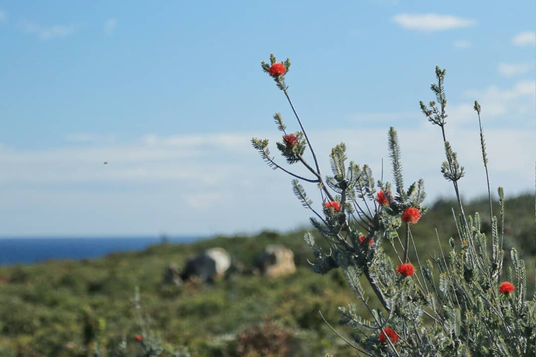 Wheatbelt To Great Southern Wilderness Escape Tour