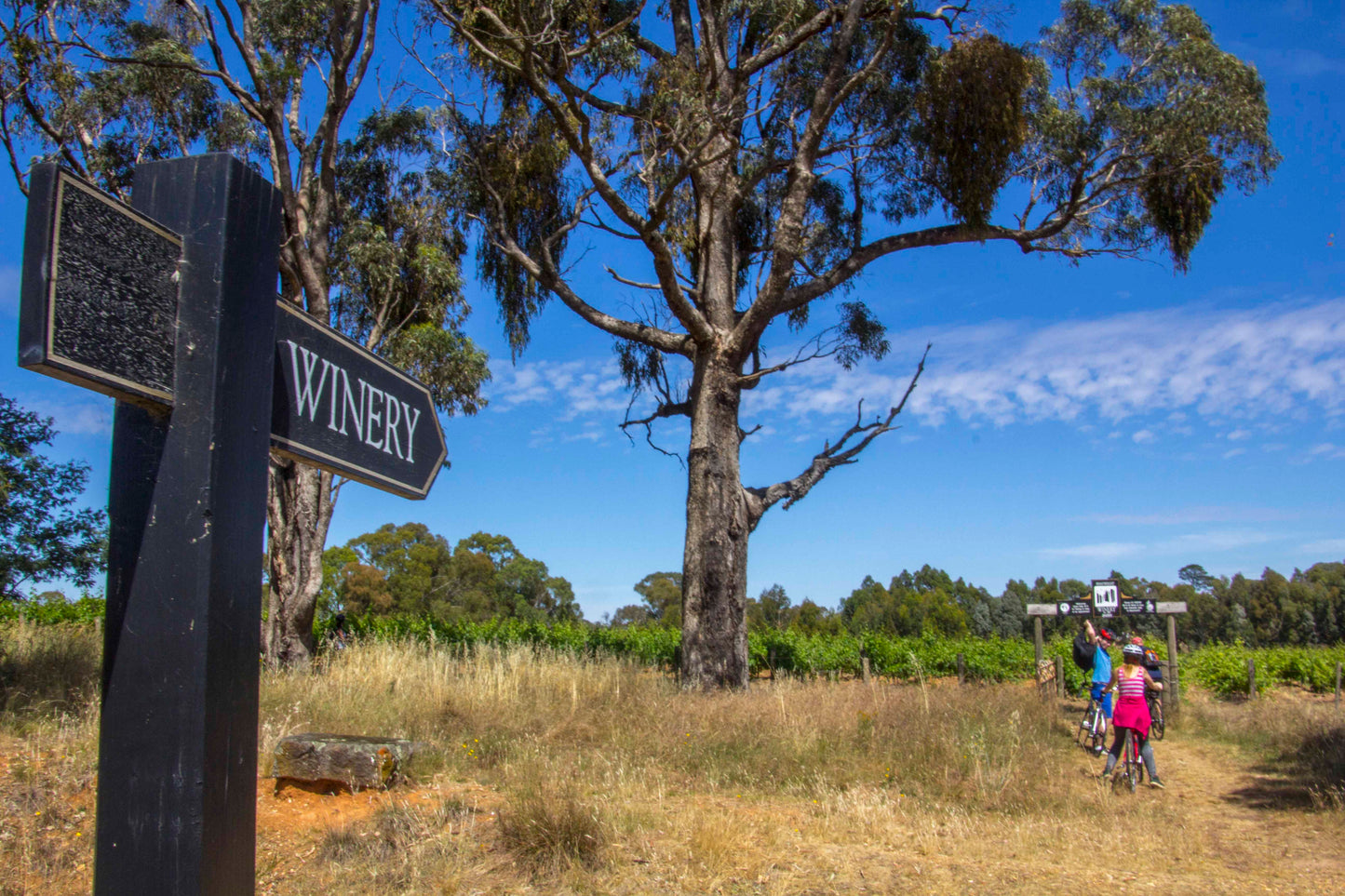 Tour De Pedal To Produce - Self Guided Day Tour From Beechworth