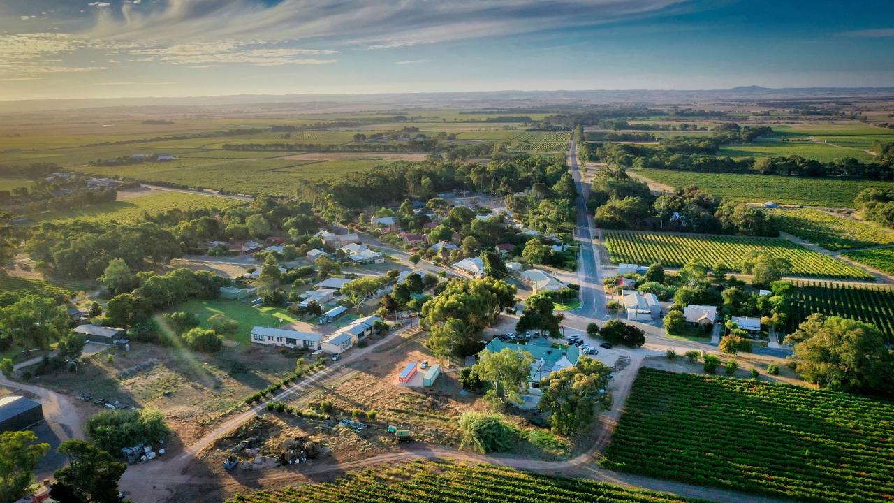 Langhorne Creek 'Grapes For Good'