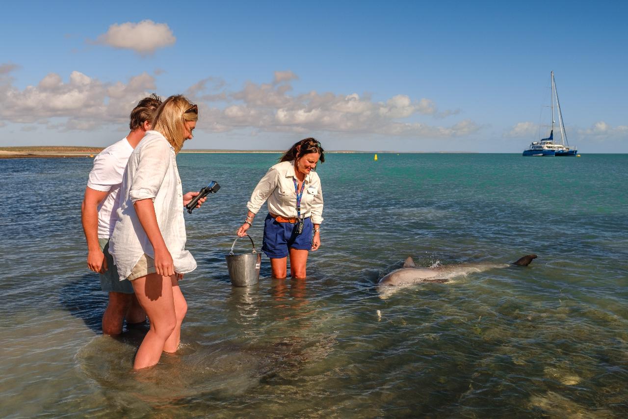 Autopia Tours: Perth To Monkey Mia 4 Day Coastal Loop