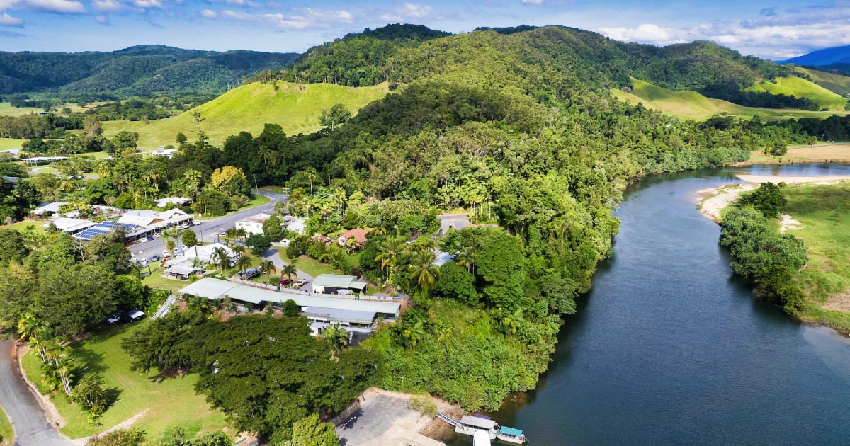 Crocodile Express Daintree Rainforest & Wildlife Cruise From Daintree Ferry Gateway