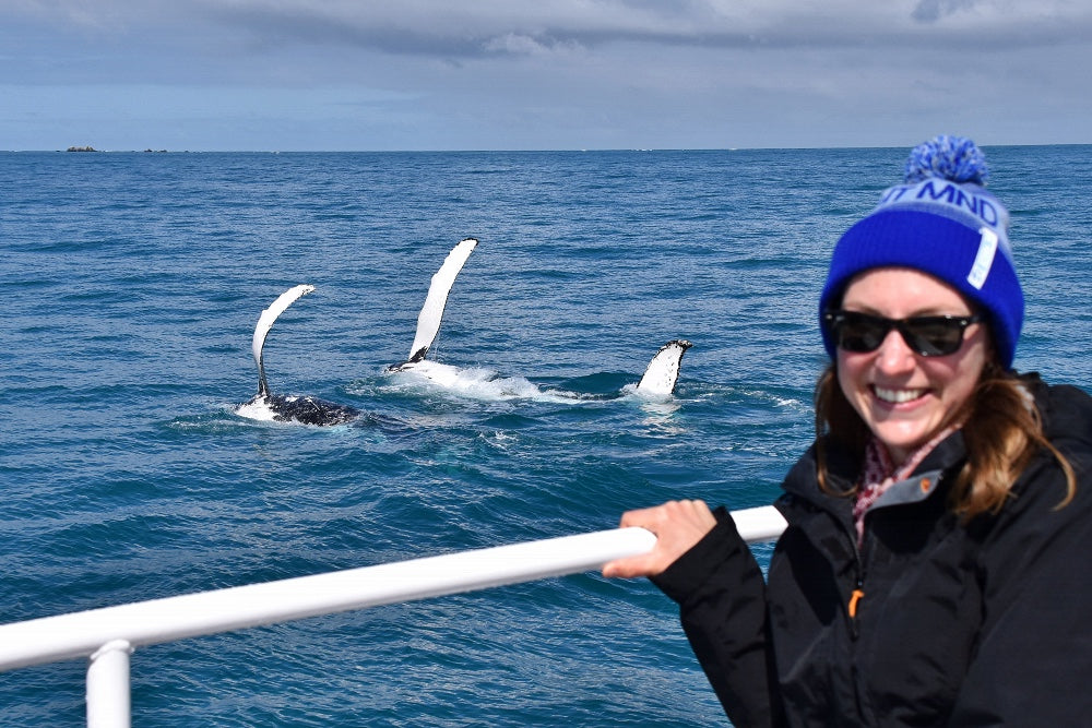 Whale Watch Perth