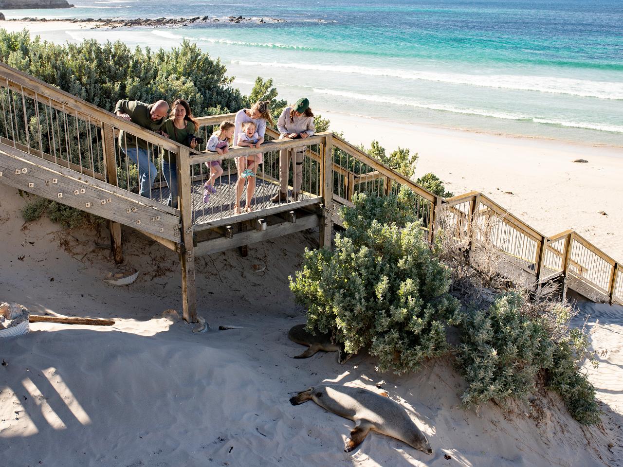 Private Coach - Kangaroo Island Wildlife Discovery 24 Seater