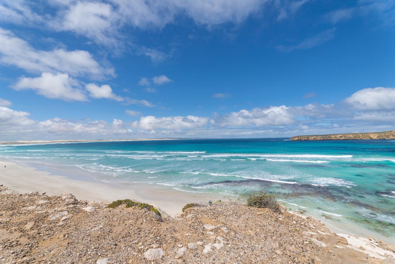 Coffin Bay National Park Sightseeing & Off-Road Tour