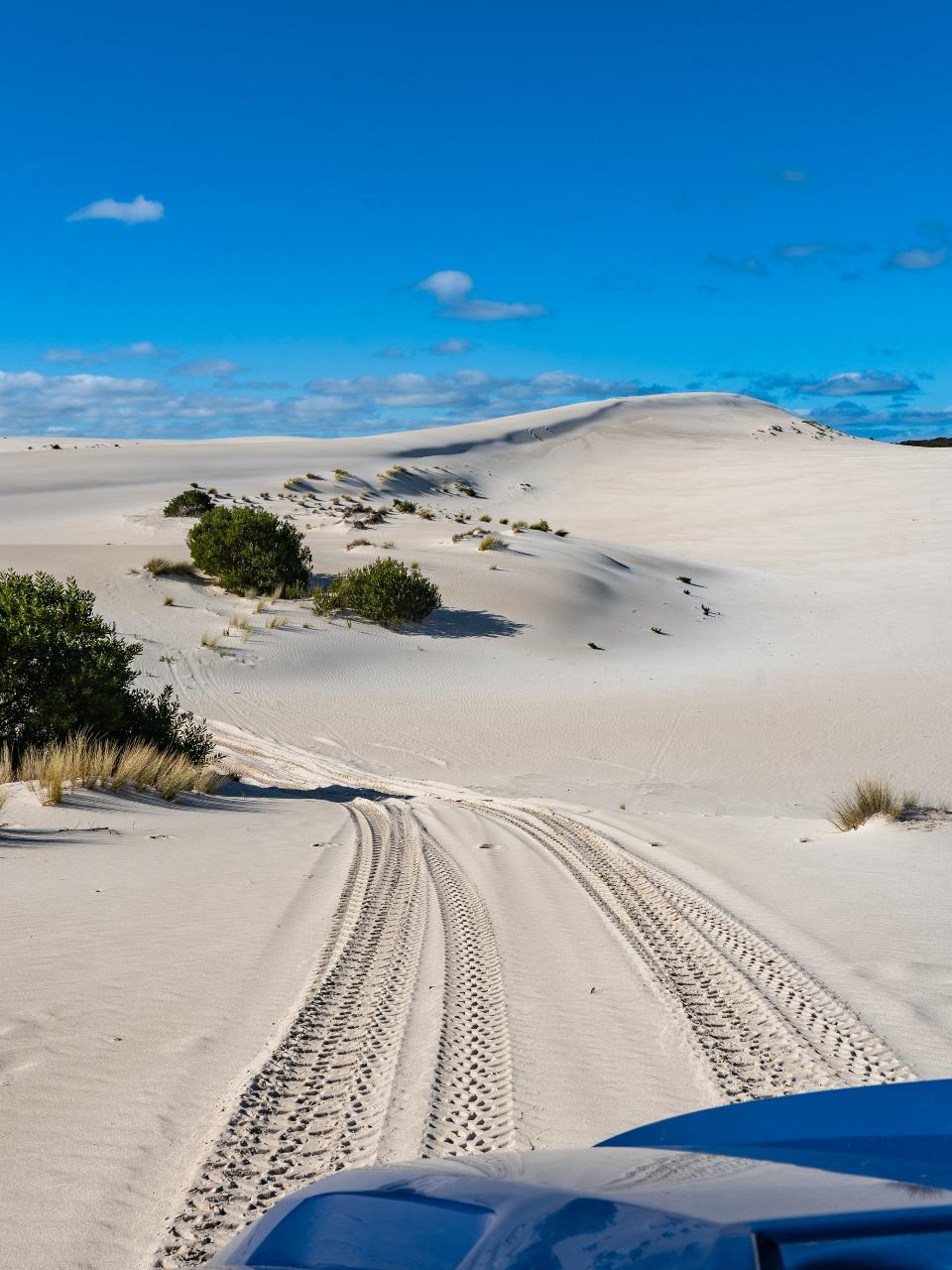 2-Hour Sand & Surf Buggy Adventure