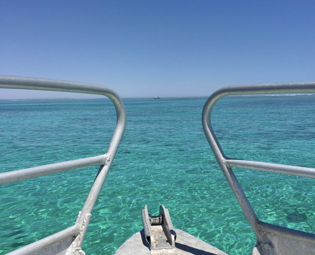 Humpback Whale Overland Tour