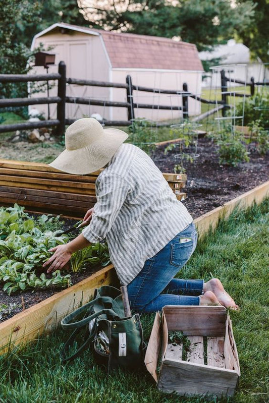 Forage, Find & Taste The Vines