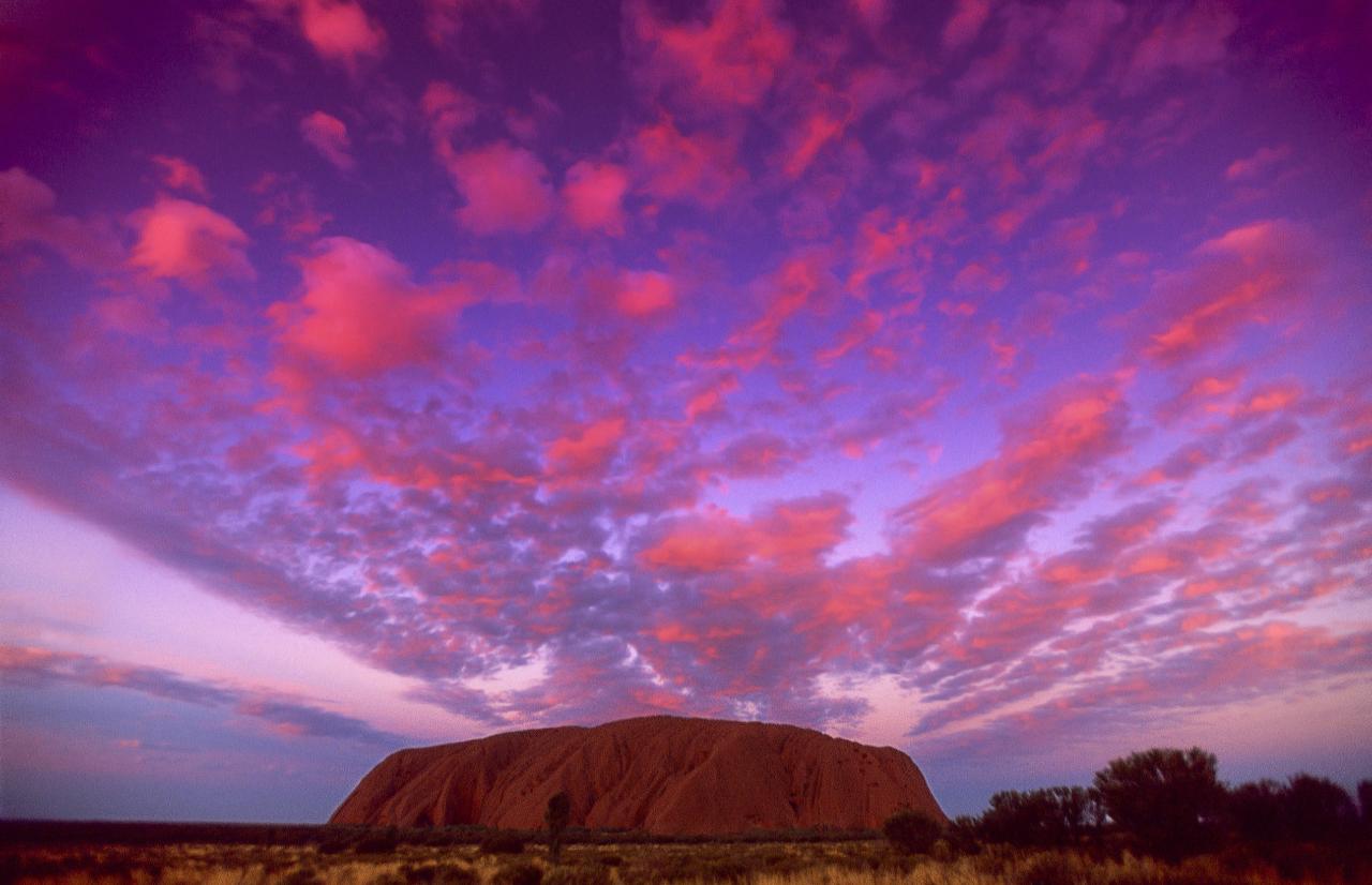 Red Centre Rock Safari 3 Day - Safari Tent From Alice Springs