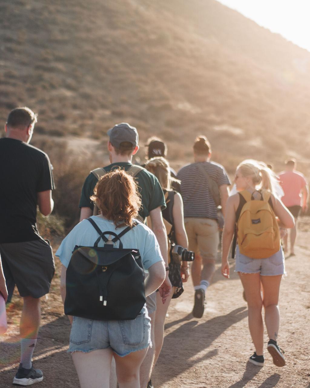 Experience The 12 Apostles, Great Otways & Great Ocean Road All In One Day