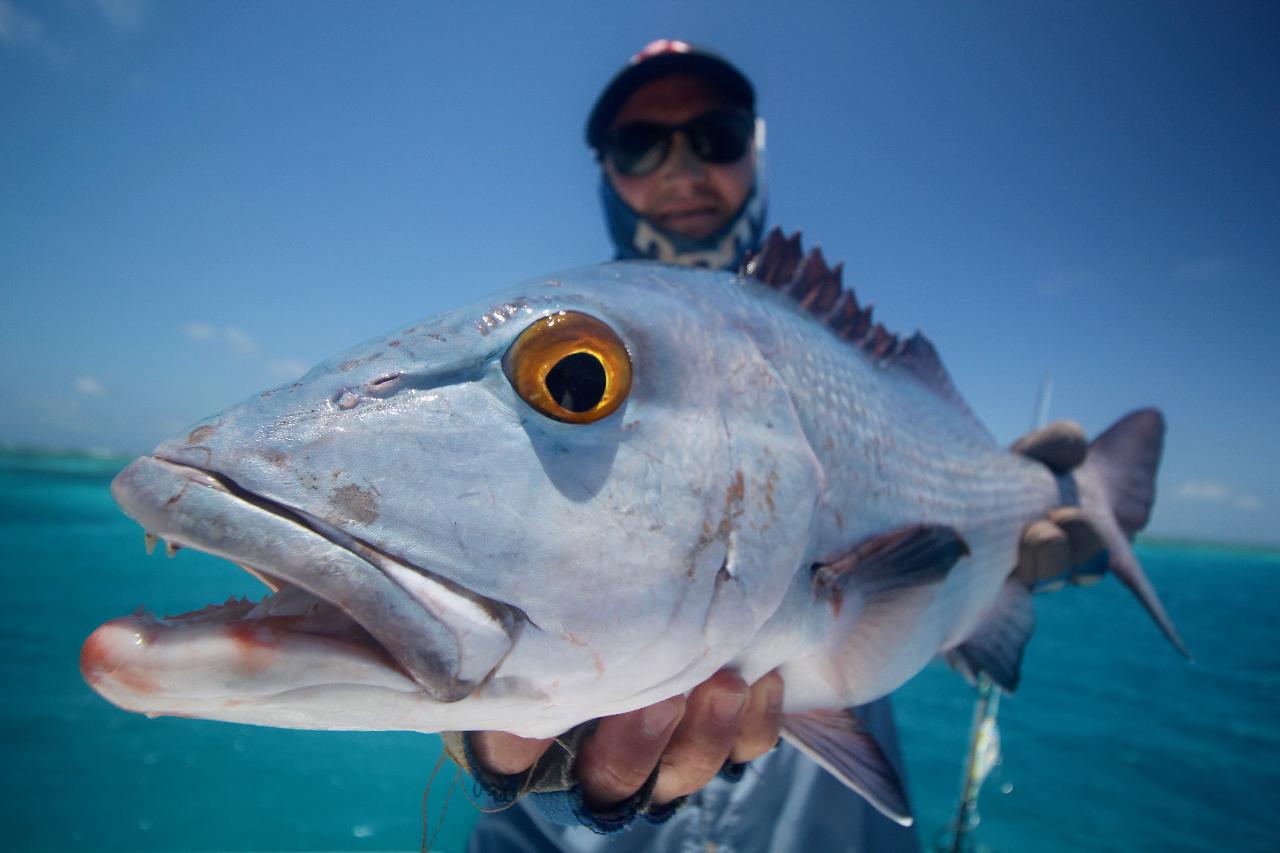 Mixed Sportfishing Day Trip