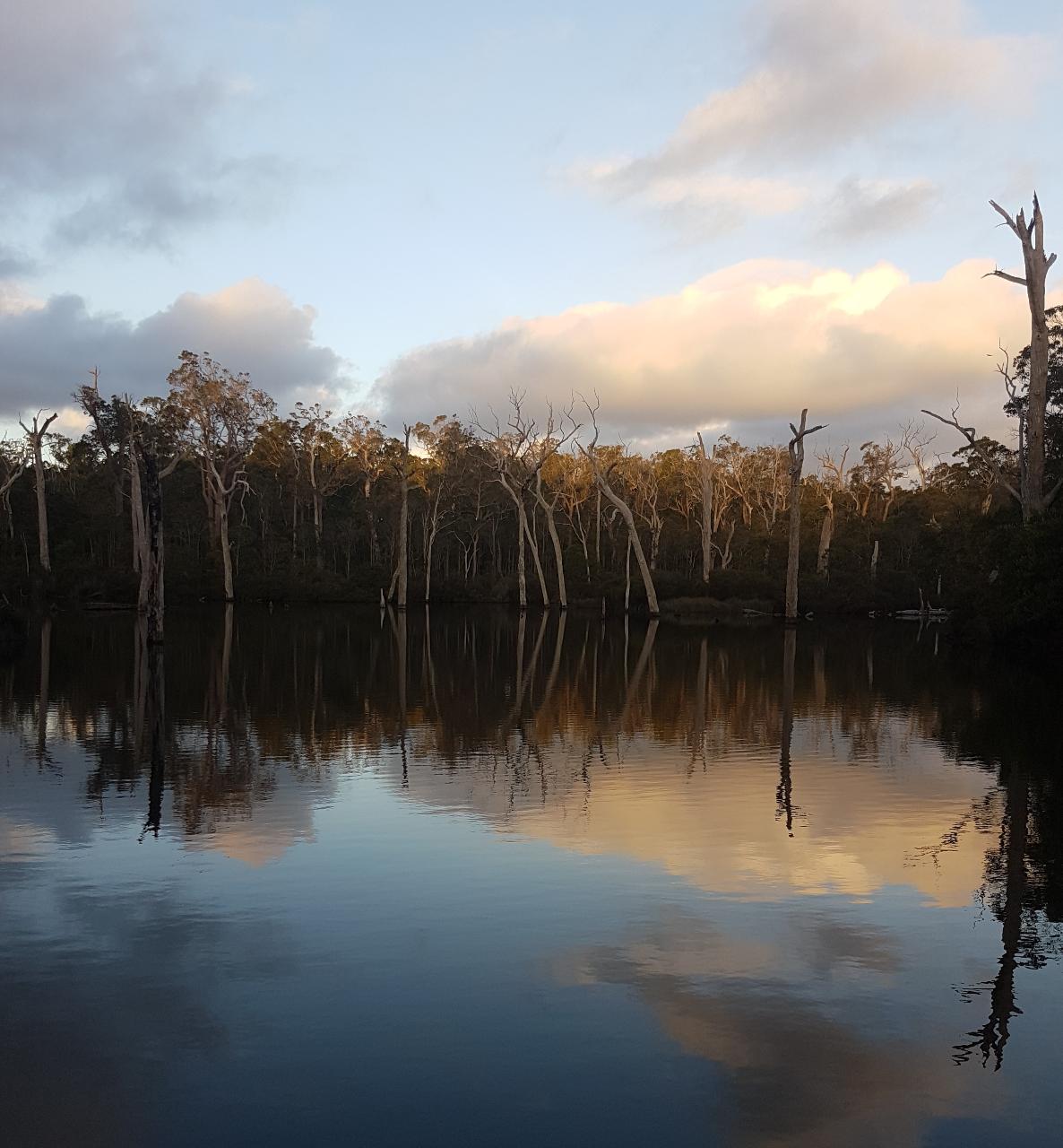 Full Day Wine & All About It Tour: Scones, Chocolate, Wineries, Lunch & More!