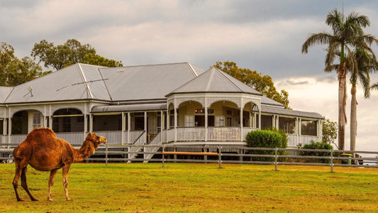 Scenic Rim Farm, Food & Wine Experience