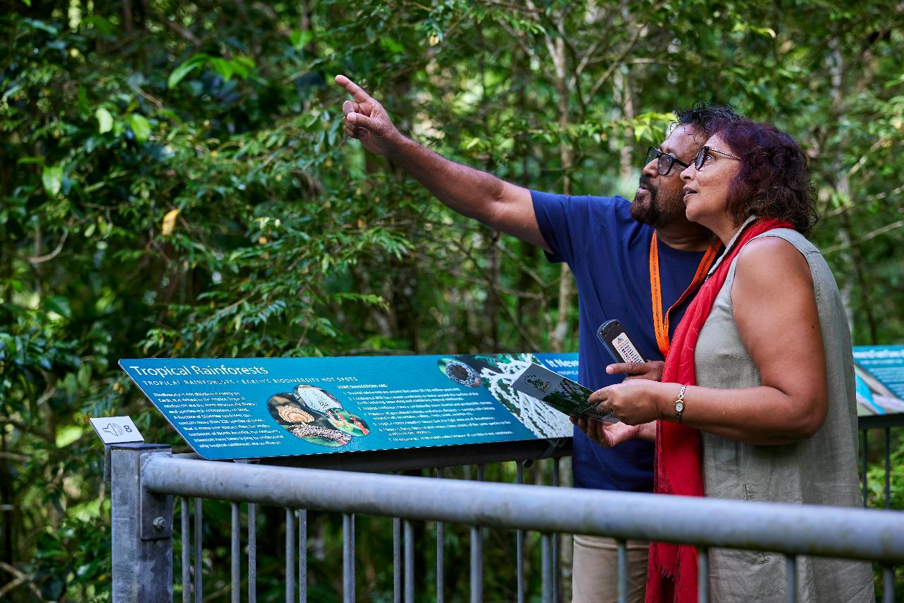 Crocodile Express Daintree River Cruise Departing From Daintree Ferry Gateway & Daintree Discovery