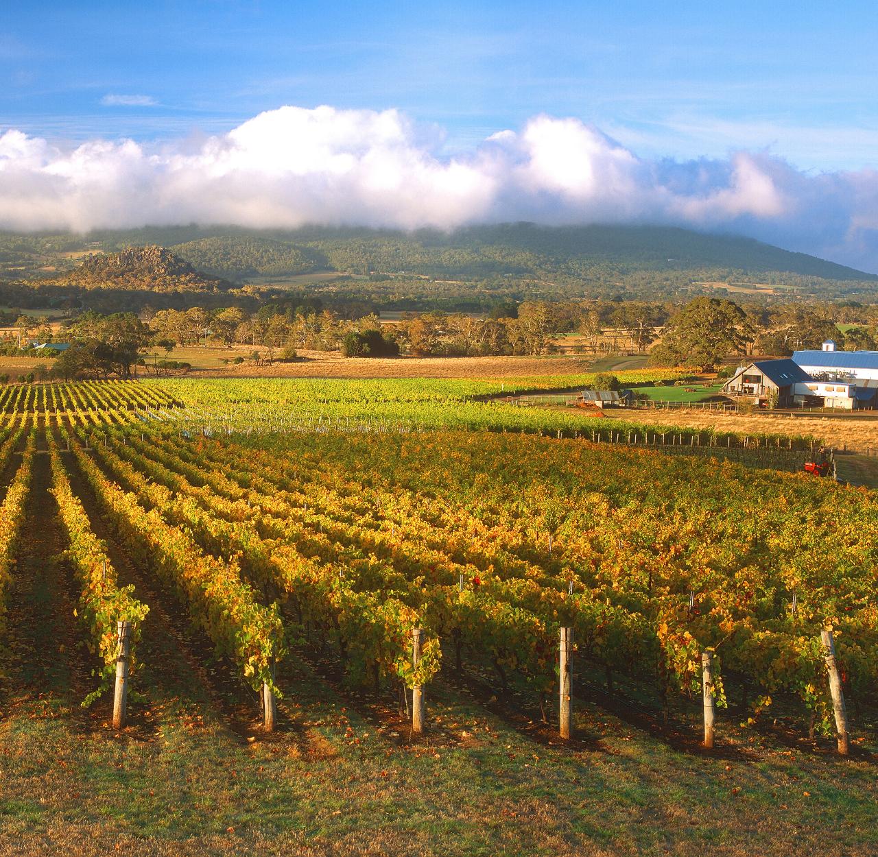 Horses, Wine & Beer Tour