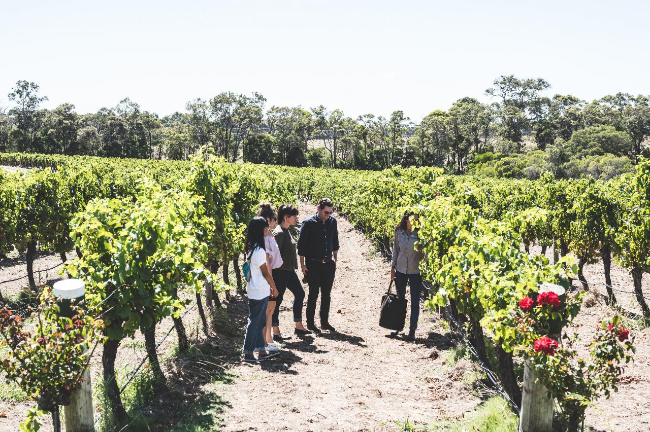 Estate Tour & Cheese Board