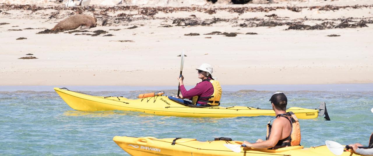 Penguin Island Kayaking Tour