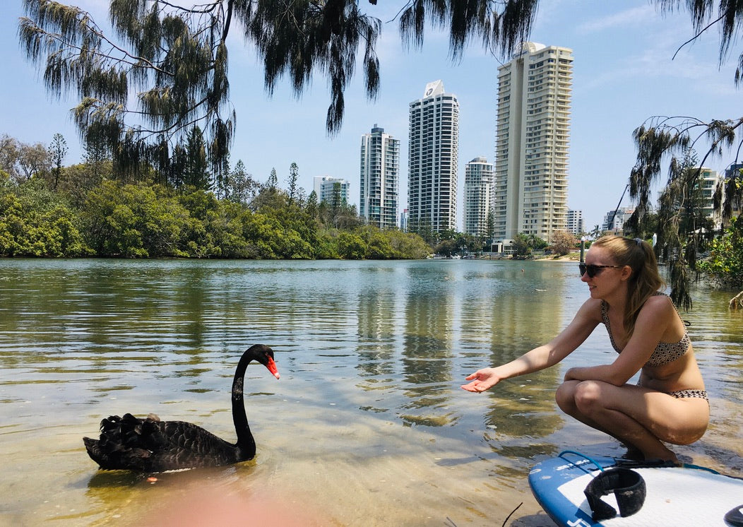 Kayak Tour & Stand Up Paddle Tour