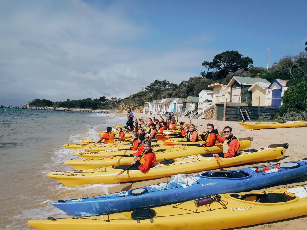 Kayak The Dolphin Sanctuary