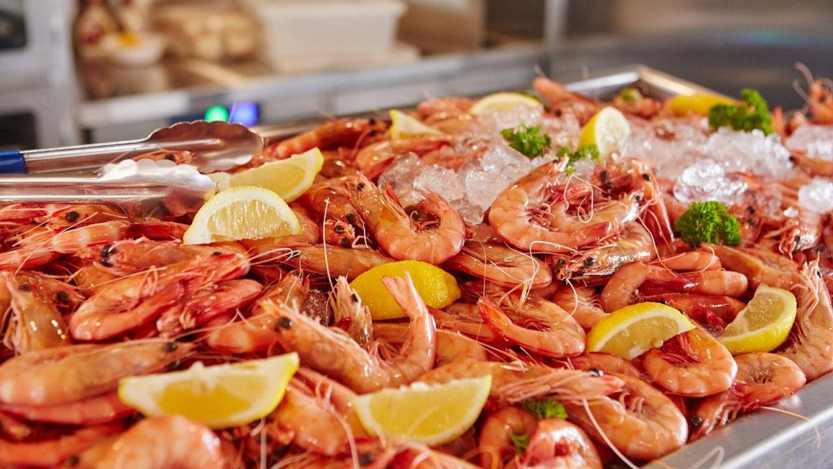 Family Cruise Experience And Lunch