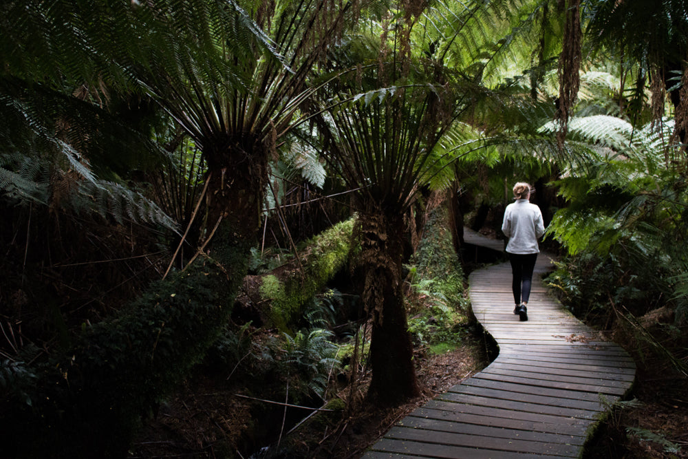 Melbourne Private Walking Tour