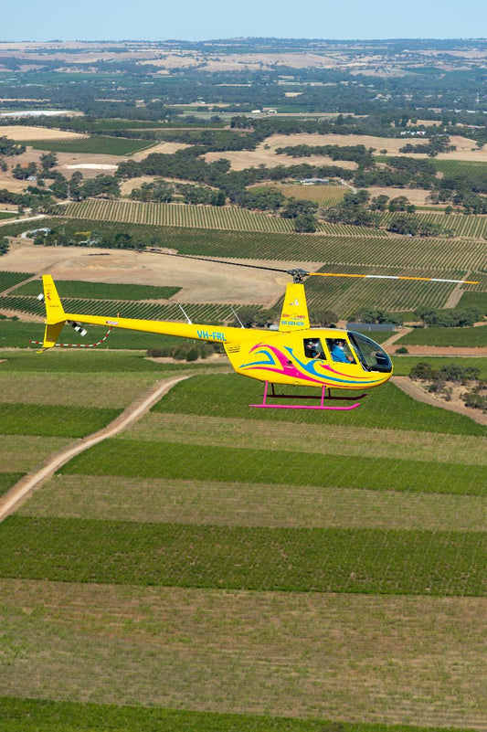 Private Barossa Valley Deluxe - 30 Minute Scenic Flight
