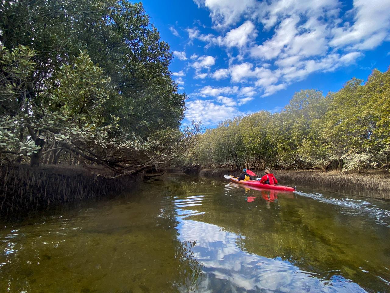 2 Person Kayak Hire