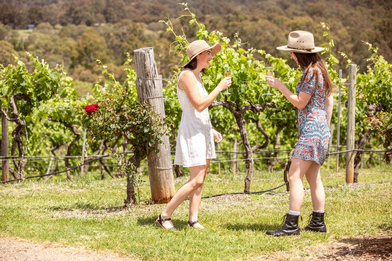 Picnic Among The Vines