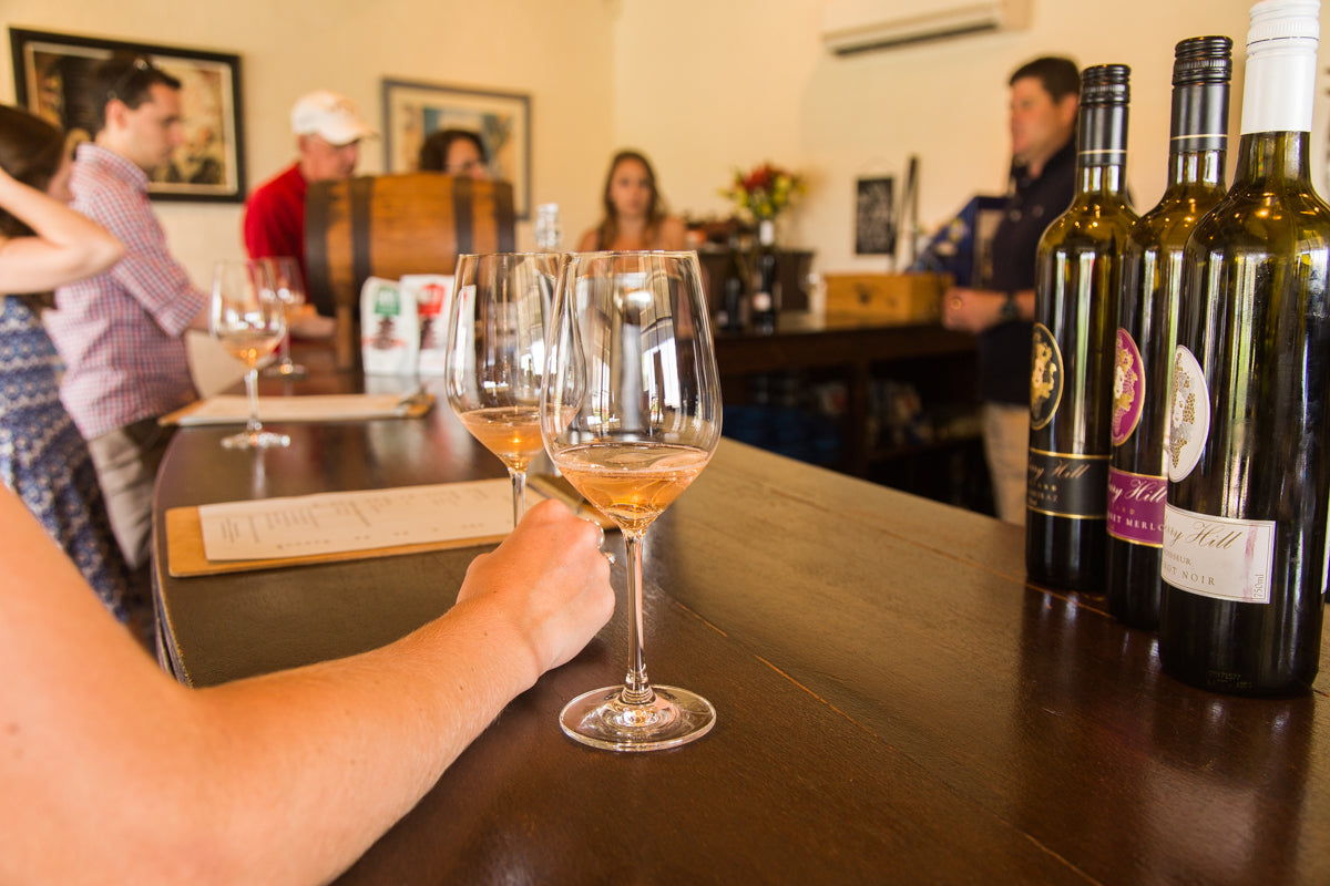 Luxury Wildlife, Wine & Cheese Experience