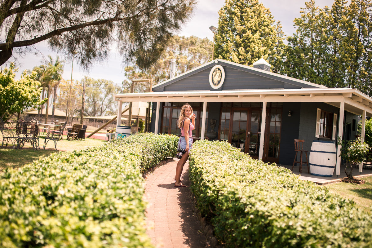 Luxury Wildlife, Wine & Cheese Experience