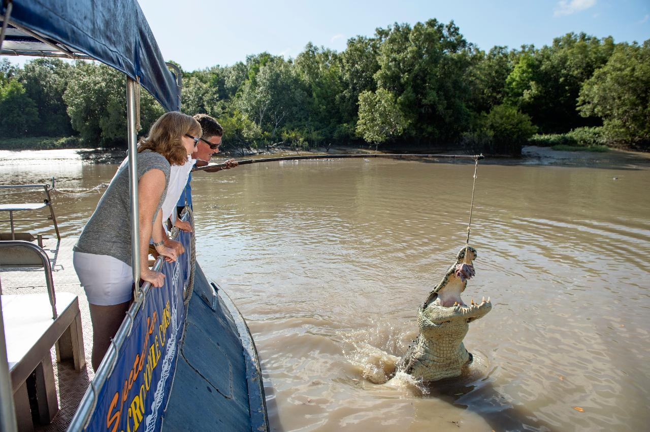 Autopia Tours: Jumping Crocodile Tour From Darwin
