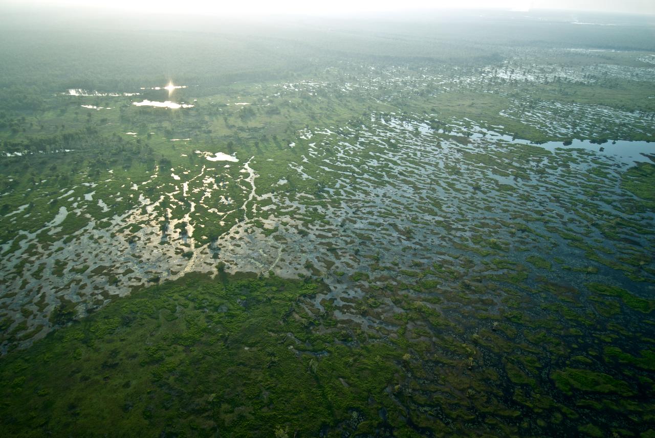 Jabiru Sunset Spectacular - 60 Minute Scenic Tour