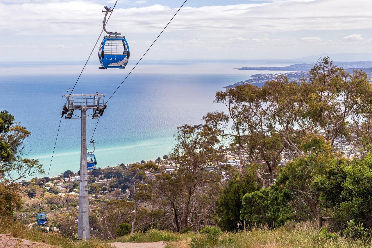 Mornington Peninsula Tour: Moonlit Sanctuary And Arthur Seat Adventure