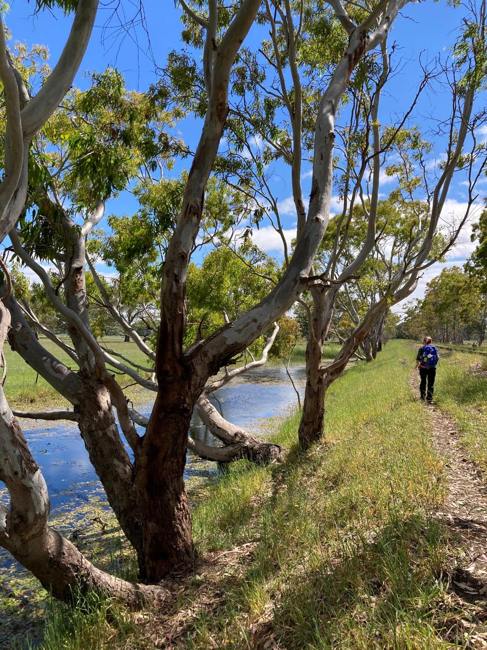 Taste Of The Aussie Camino