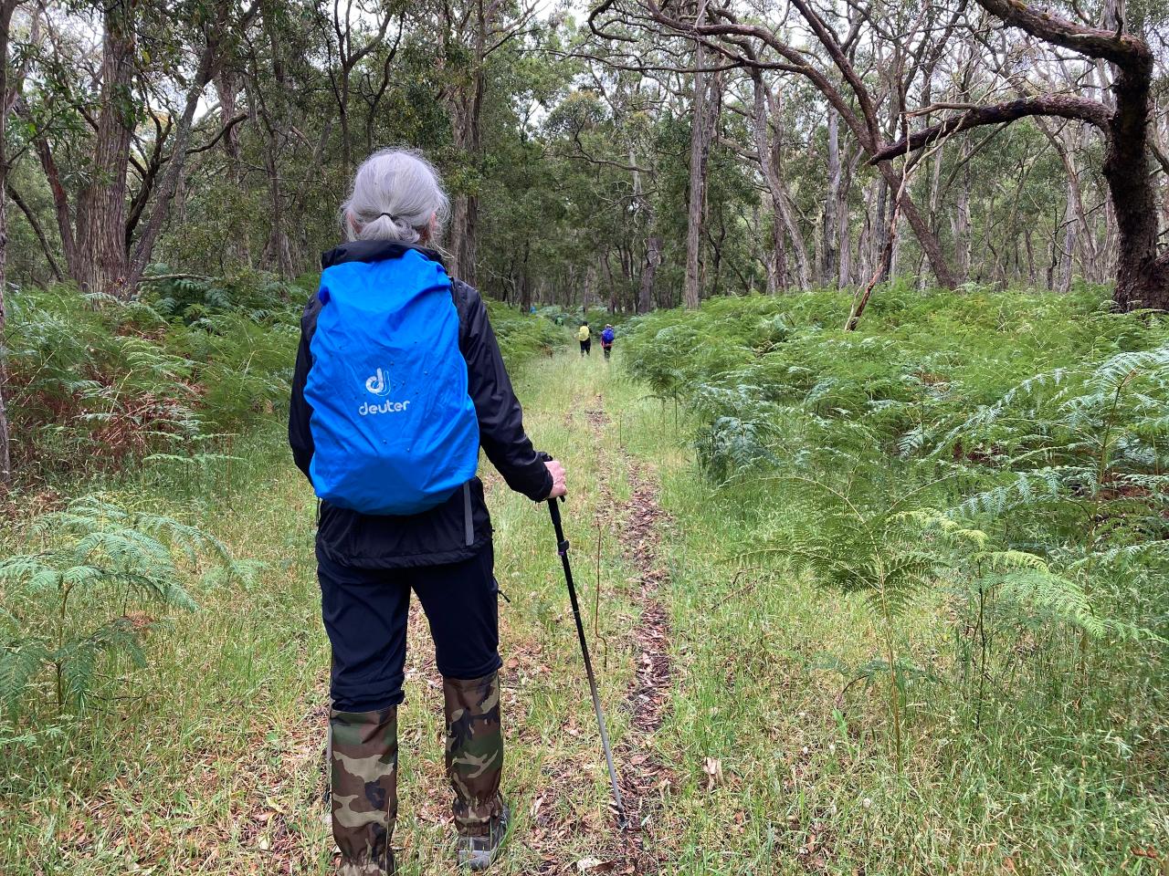 Taste Of The Aussie Camino