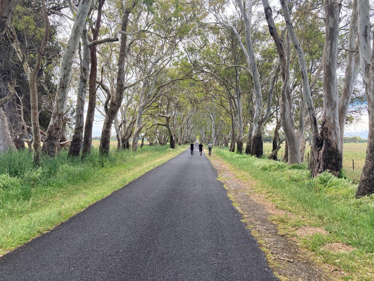 Taste Of The Aussie Camino